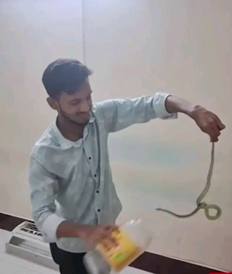 বরিশালে হঠাৎ করেই বাসা বাড়িতে সাপের উপদ্রব