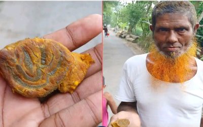 ভোলা সদর উপজেলায় কোরবানির গরুর মাংসে আল্লাহ লেখা নাম পাওয়া গেছে