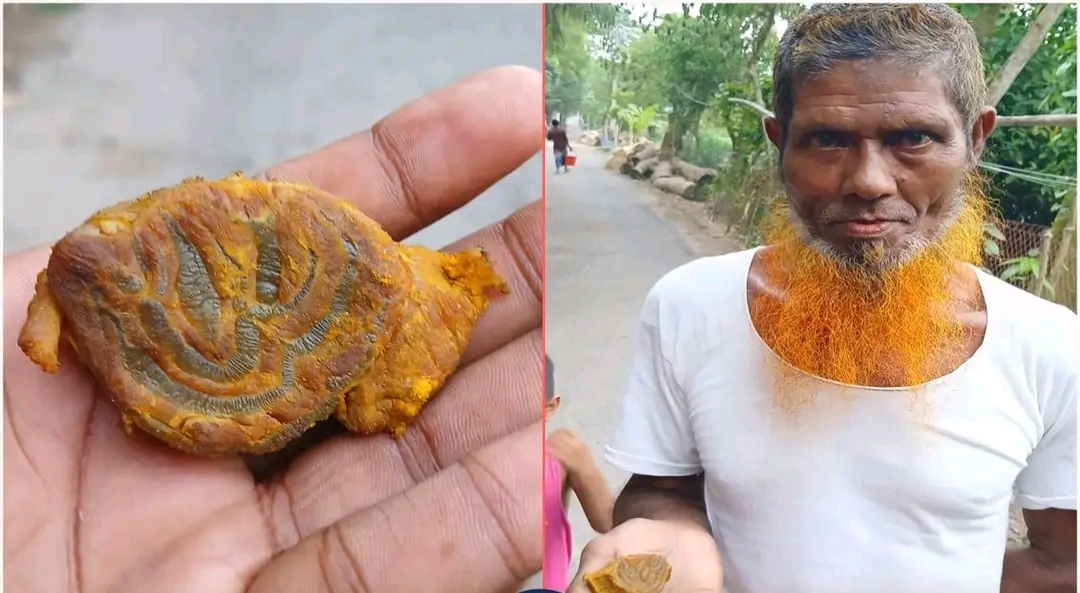 ভোলা সদর উপজেলায় কোরবানির গরুর মাংসে আল্লাহ লেখা নাম পাওয়া গেছে